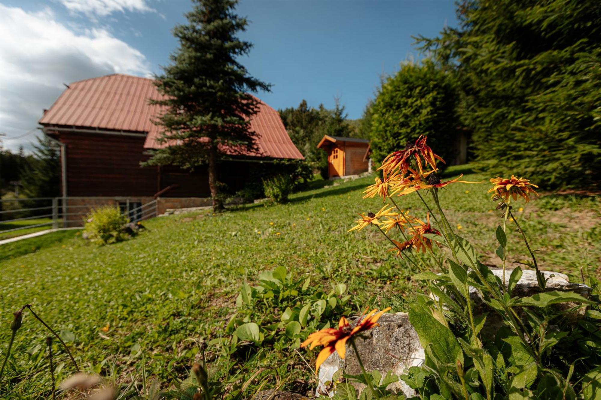 Chalupka Lavender Vila Zázrivá Exterior foto